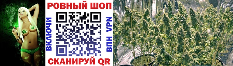 Где можно купить наркотики Вологда блэк спрут ССЫЛКА  Меф  Альфа ПВП  АМФЕТАМИН  Гашиш  Канабис  КОКАИН 