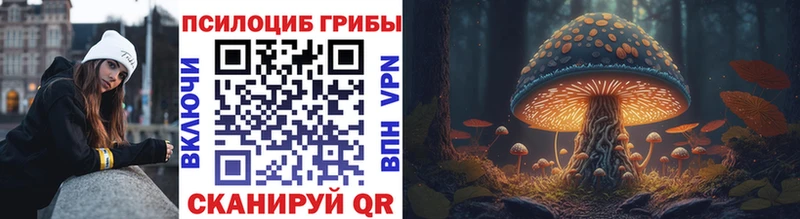 Галлюциногенные грибы Magic Shrooms  как найти закладки  Вологда 