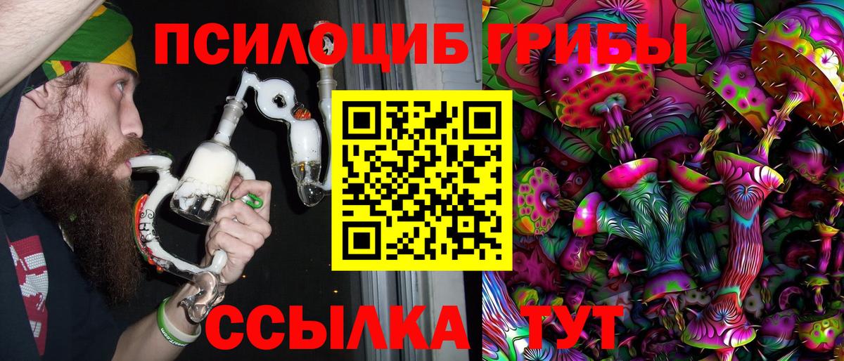 Псилоцибиновые грибы мицелий Вологда